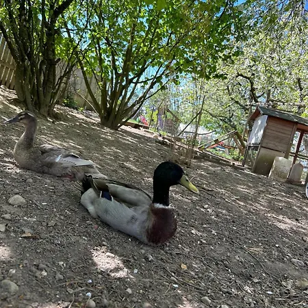 Storchenblick Apartment Uberlingen