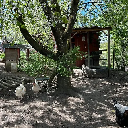 Apartment Storchenblick *