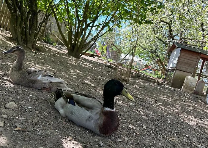 Storchenblick Apartment Uberlingen