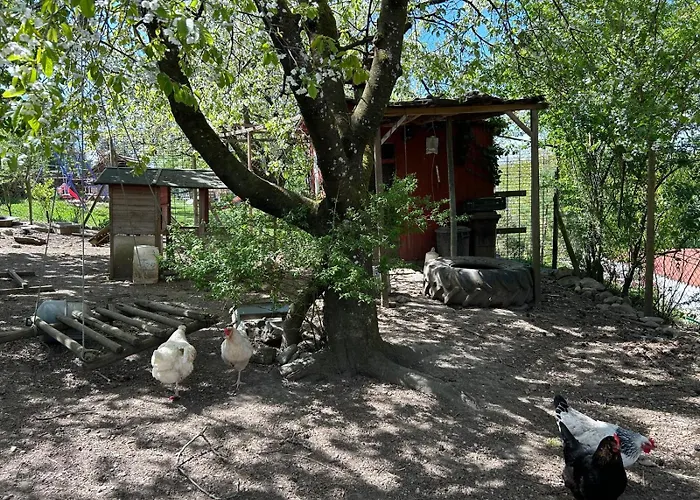 Apartment Storchenblick *